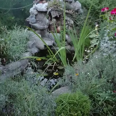 Veselata Dołna Banja