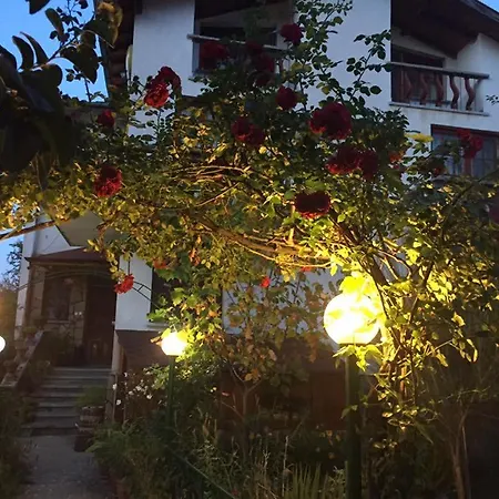 Veselata * Dolna Banya