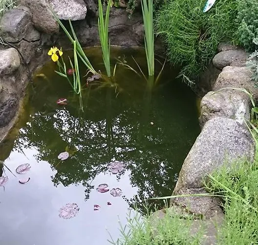 Maison d'hôtes Veselata