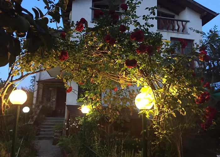 Veselata * Dolna Banya