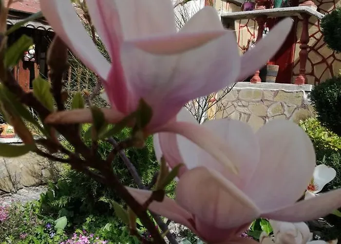 Maison d'hôtes Veselata Dolna Banya